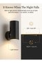 LAYAN 2 Pack LED Plug in Night Light with Remote Control, Smart Light Sensor Dimmable Night Lamp - 4