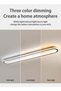 LOOPITYS (BLACK-100CM) simple modern LED ceiling light aisle light bedroom living room corridor - 5