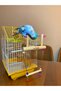 Bird Ball Spinning Toy with Swing and Perch - 6