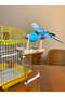 Bird Ball Spinning Toy with Swing and Perch - 4