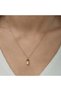 Silver Rose Pineapple Figure Fruit Pendant - 2
