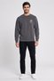 Men Round Neck Graphic Print Long Sleeve Sweatshirt, Grey - 2