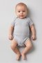 Toddlers Boy 5 Pcs Embroidered Bodysuits, Multicolor