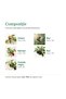 Sirop multifruct Hypericum, supliment alimentar cu extract din 7 fructe, 500 ml - 2