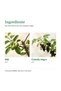 Apple and blackcurrant juice Hypericum, (Ribes nigrum), 3 l - 2
