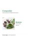Burdock Hypericum, dietary supplement with root extract (Arctium lappa), 60 capsules - 2