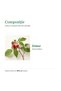 Raspberry tincture Hypericum, dietary supplement with raspberry (Rubus idaeus), 50 ml - 2