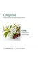 Cherry Stems Hypericum, dietary supplement (Cerasus avium), 60 capsules - 2