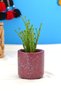 Burgundy Blue Fan Seven Piece Office Set |   Pen Holder, Notepad Holder, Business Card Holder, Flower Pot, Plant and 2 Coasters - 7