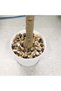 120cm Artificial Olive Tree with White Planter, Adjustable Branches, No-Water Faux Plant, Realistic Silk Leaves, Maintenance-Free, Perfect for Small Apartment Bedroom Entryway Decor - 5