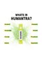 Himalayan Lime Electrolyte Hydration Sticks 90g 20s - 4