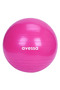 Delux Series Bodybuilding 65 cm Plate Ball Without Pump Pink Plt-65 Pink - 2