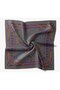 Twill Silk Scarf Belt Print Smoked - 5