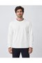 Men's Ecru Crew Neck Striped Modal Fabric Sweatshirt - 3