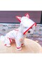 Small Breed Dog Raincoat Transparent Rainbow Patterned Overalls with Ears Raincoat 3 - 3.5 kg - 4