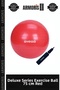 Delux Series Form Motion Health & 75 cm Plates Ball 75 cm Red