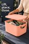 2-Piece 19Lt Storage Box with Lid - Decorative Organizer Multi-Purpose Closet Organizer Basket Pink - 4