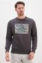 3 Thread Floral Maze Printed Crew Neck Sweatshirt - 2