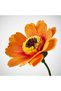 GULDSPETT Artificial flower - paper/marigold orange 50 cm - 4