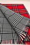Women's Red Plaid Scarf and Black Beanie Set: 2-Piece Winter Scarf and Beanie Set - New Year's Gift - 3