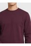 I Zero Roba Collar Men's Sweatshirt from Freezen Store - 4