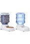 Amazonbasics large gravity pet food feeder and water dispenser bundle