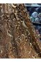 Sequin Embroidered Velvet Fabric (Velvet) - 4