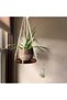 Macrame Plant Hanger,74 * 30cm Hanging Planter Shelf Brown - 5