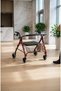 Walker with basket model agrt002 - 2