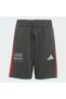 AUDI REVOLUT F1 TEAM DNA SHORT