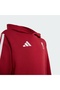 Liverpool FC Kids Hoodie - 3