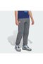 Minecraft Terrex CLIMAWARM Softshell Tracksuit Bottoms - 2