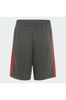 AUDI REVOLUT F1 TEAM DNA SHORT - 5