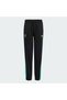 MERCEDES - AMG PETRONAS FORMULA 1 TEAM DNA PANT