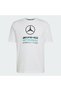MERCEDES - AMG PETRONAS FORMULA 1 TEAM DNA GRAPHIC T-Shirt - 2