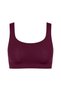 Bustier, Plum - 2