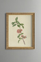 Pink Floral Branch - Vintage Patterned Painting - Slim Frame
