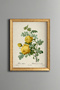 Yellow Rose Branch - Vintage Patterned Painting - Slim Model