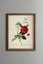 Red Rose - Vintage Patterned Painting - Slim Model
