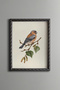 Dalda İspinoz - Vintage Patterned Painting - Slim Model