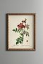 Red Wildflowers - Vintage Patterned Painting - Slim Frame
