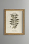 Yasemin - Vintage Patterned Painting - Slim Model
