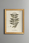 Yasemin - Vintage Patterned Painting - Slim Model