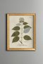 Ortanca Branch - Vintage Patterned Painting - Slim Model