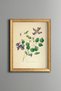 Ak Asma - Vintage Patterned Painting - Slim Model
