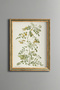 Floral Plant Study - Vintage Patterned Painting - Slim Model