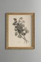 Elegant Wildflowers - Vintage Patterned Painting - Slim Frame