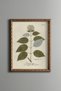 Ortanca Branch - Vintage Patterned Painting - Slim Model