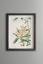 New World - Vintage Patterned Painting - Slim Model
