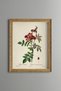 Red Wildflowers - Vintage Patterned Painting - Slim Frame